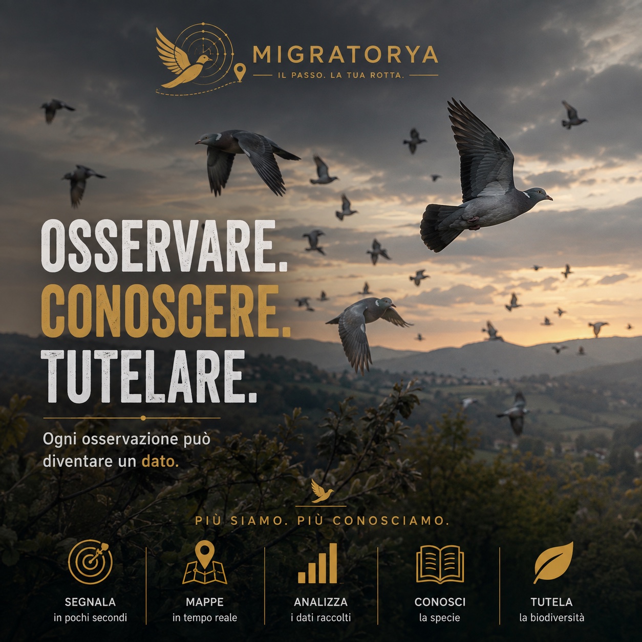 MigraRadar — Osservare, conoscere, tutelare